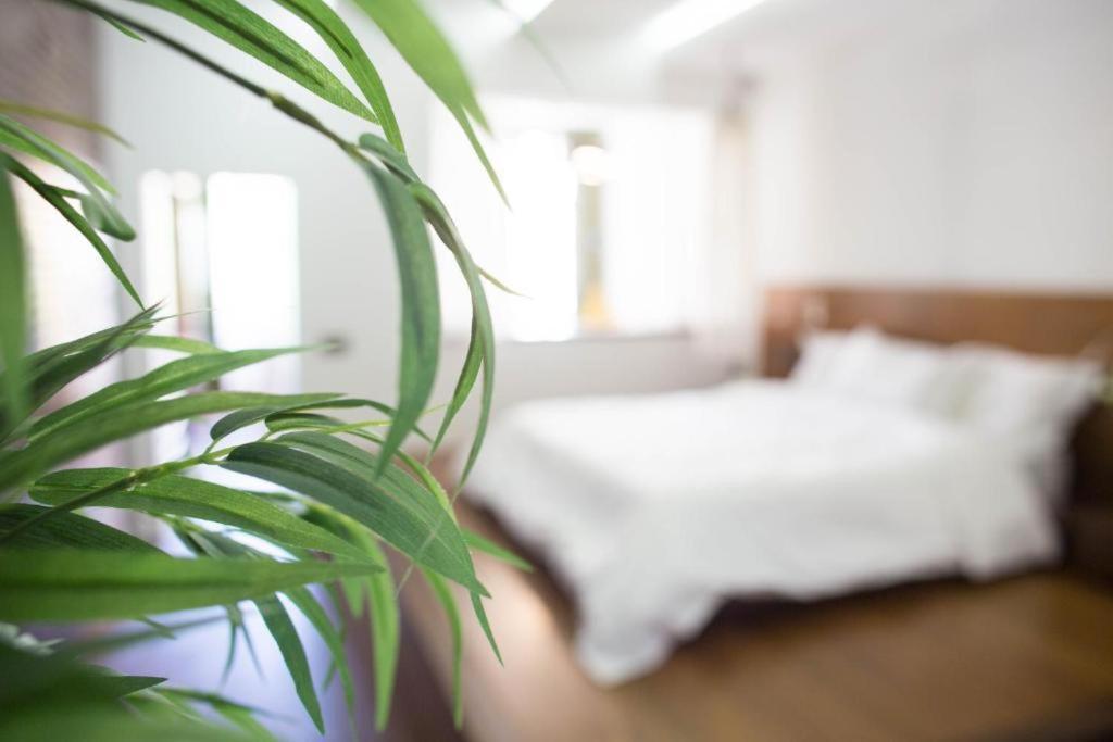 Madeira Loft I - City Center Funchal  Eksteriør billede