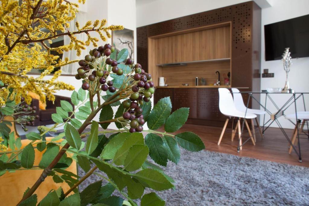 Madeira Loft I - City Center Funchal  Eksteriør billede